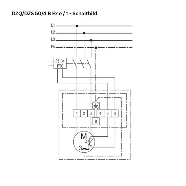 Atex - ventola a parete assiale - Maico - DZQ/DZS 50/4 B EX E - DZQ/DZS 50/4 B EX T