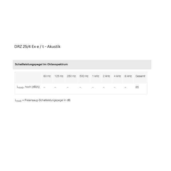 ATEX - Axial-Rohrventilator -  MAICO DZR 25/4 B Ex e / DZR 25/4 B Ex t