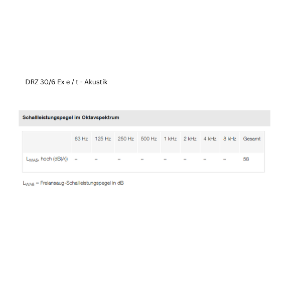 ATEX - Axial-Rohrventilator -  MAICO DZR 30/6 B Ex e / DZR 30/6 B Ex t